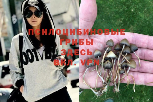 каннабис Дмитриев