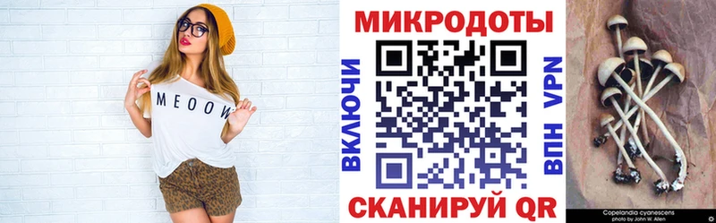 Псилоцибиновые грибы Magic Shrooms Купить Луховицы